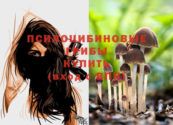 соль курить ск Аркадак